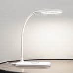 Siona LED Lampe de Table CCT Dim. w/Charger Blanc - Lindby