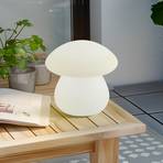 Lámpara de sobremesa Lindby LED recargable para exteriores Vernate, RGBW,