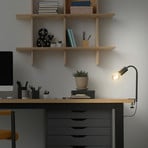 Krampo Retro clip-on light flexible arm and socket
