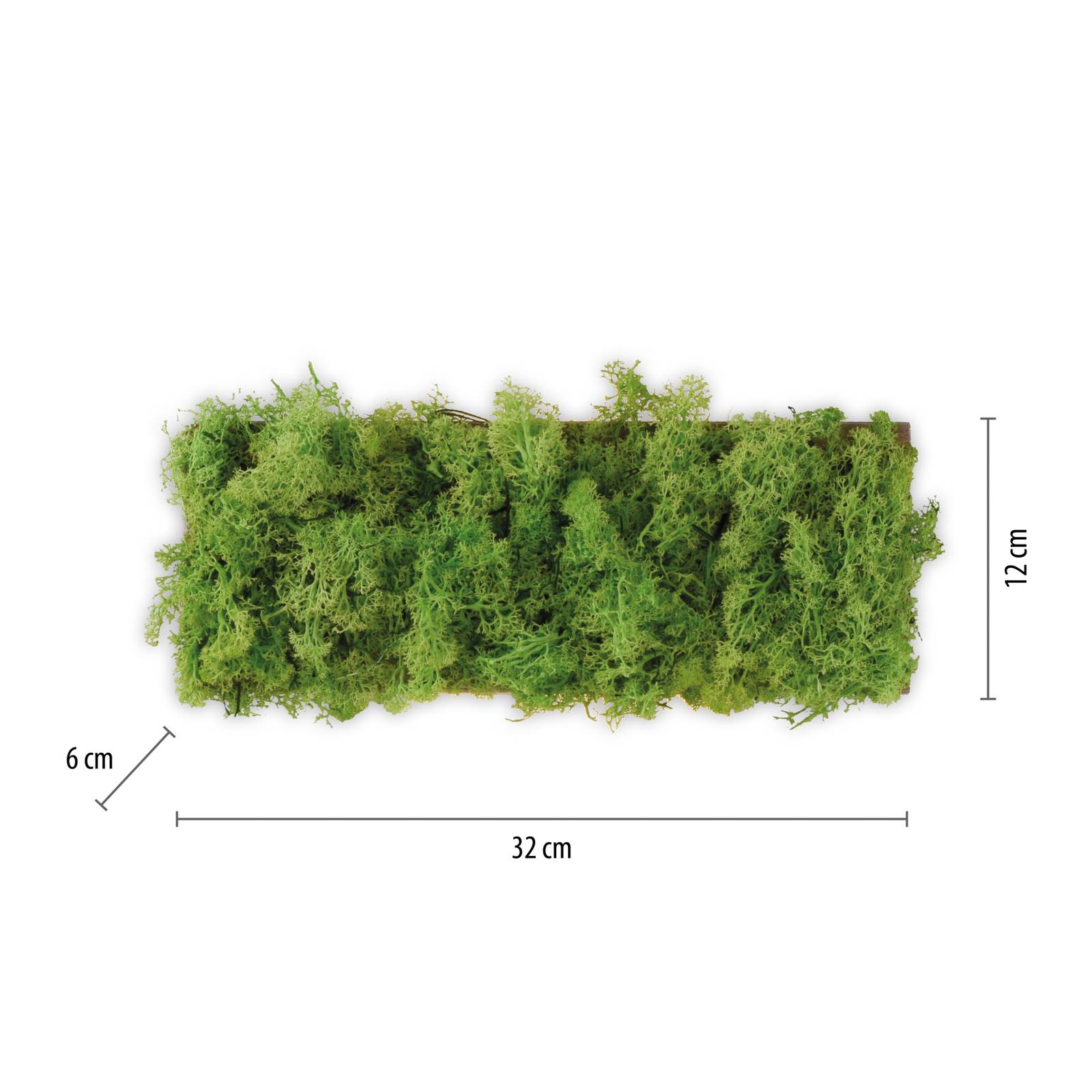 Green Carlo kinkiet LED, Up/down, prawdziwy mech