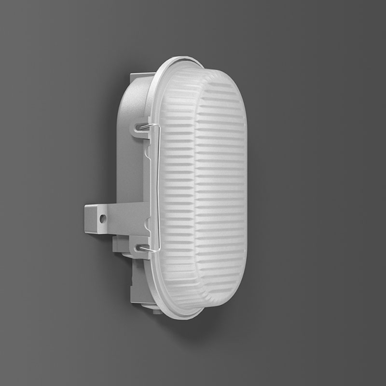 RZB Alu-Standard LED wall light, oval, IP66