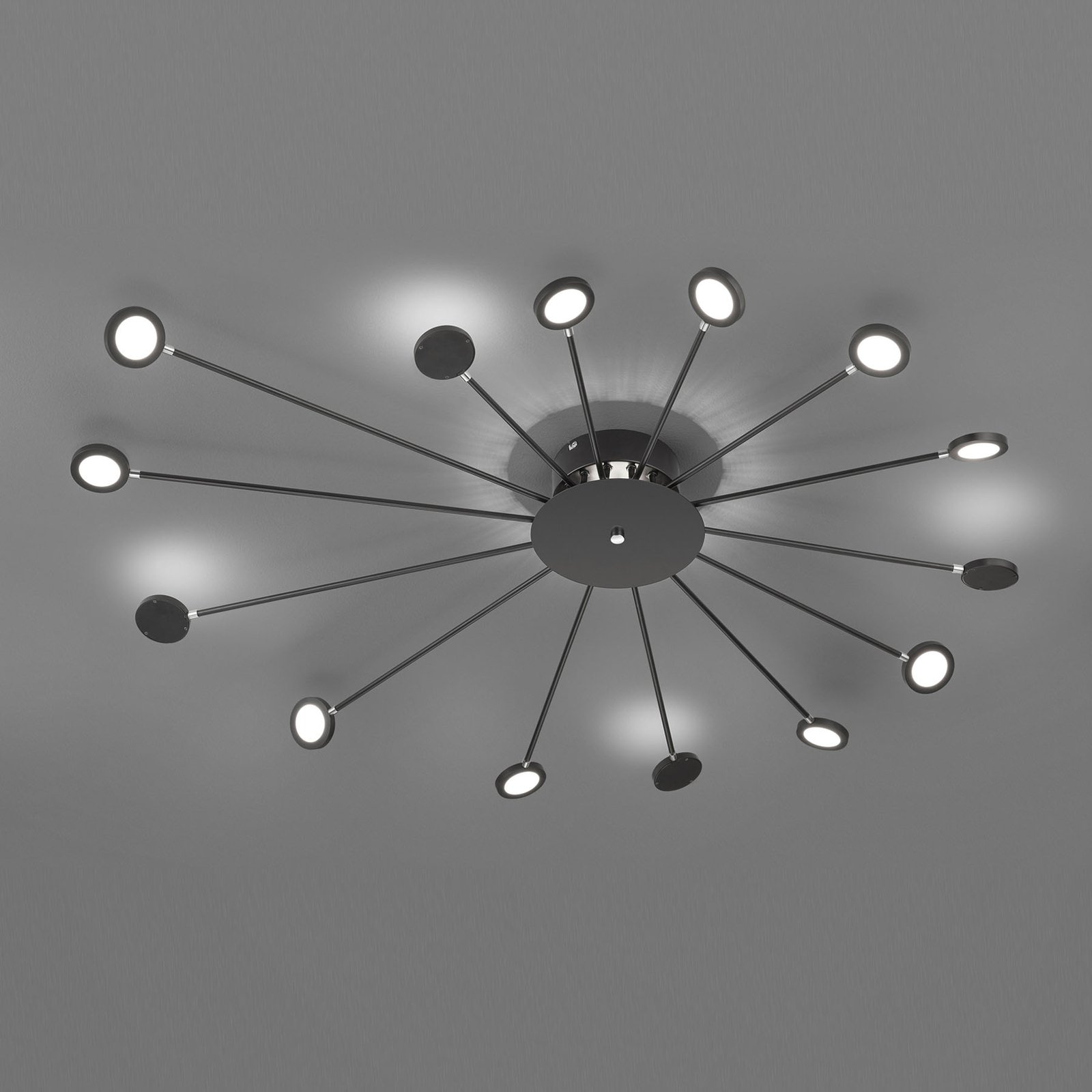 LED plafondlamp Peacock, 15-lamps, zwart