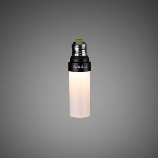 Buster + Punch Lampadina LED E27 5W 2.700K dimmerabile