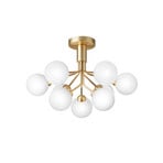 Apiales 9 Plafonnier Brushed Brass - Nuura