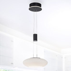Paul Neuhaus Q-ETIENNE LED hanging light, 1-bulb