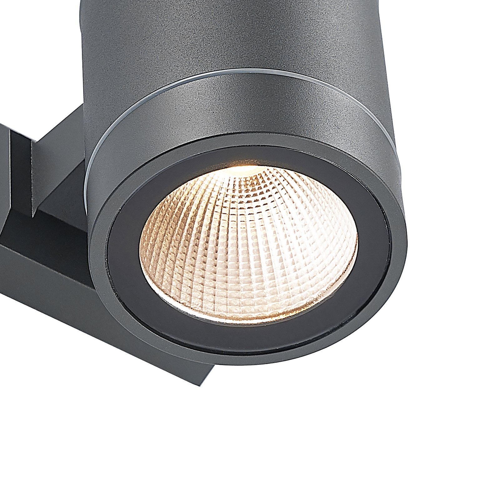 ELC Halemi LED nástenná lampa exteriérová