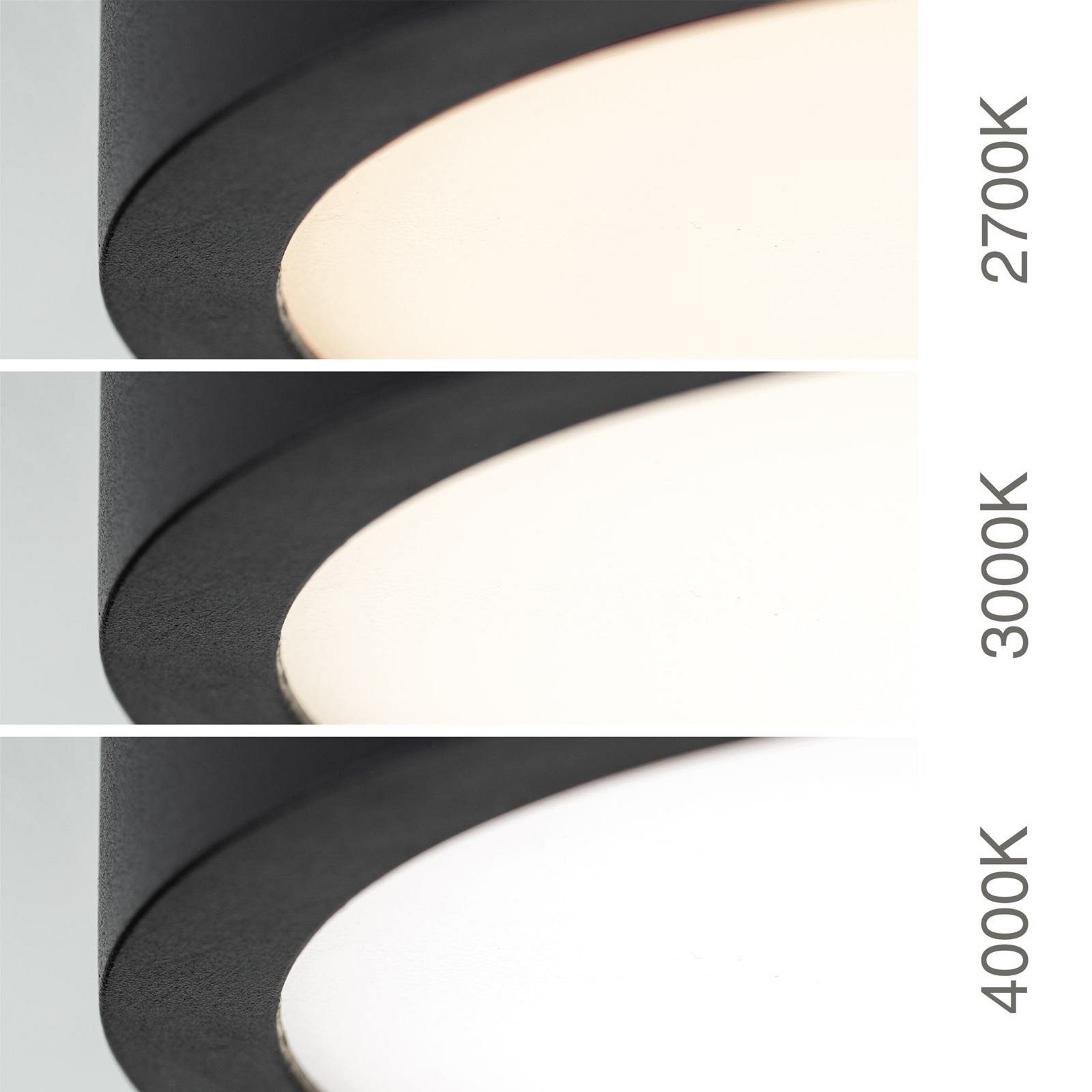 LED ceiling lamp Disc, black Ø 28 cm, CCT metal/plastic