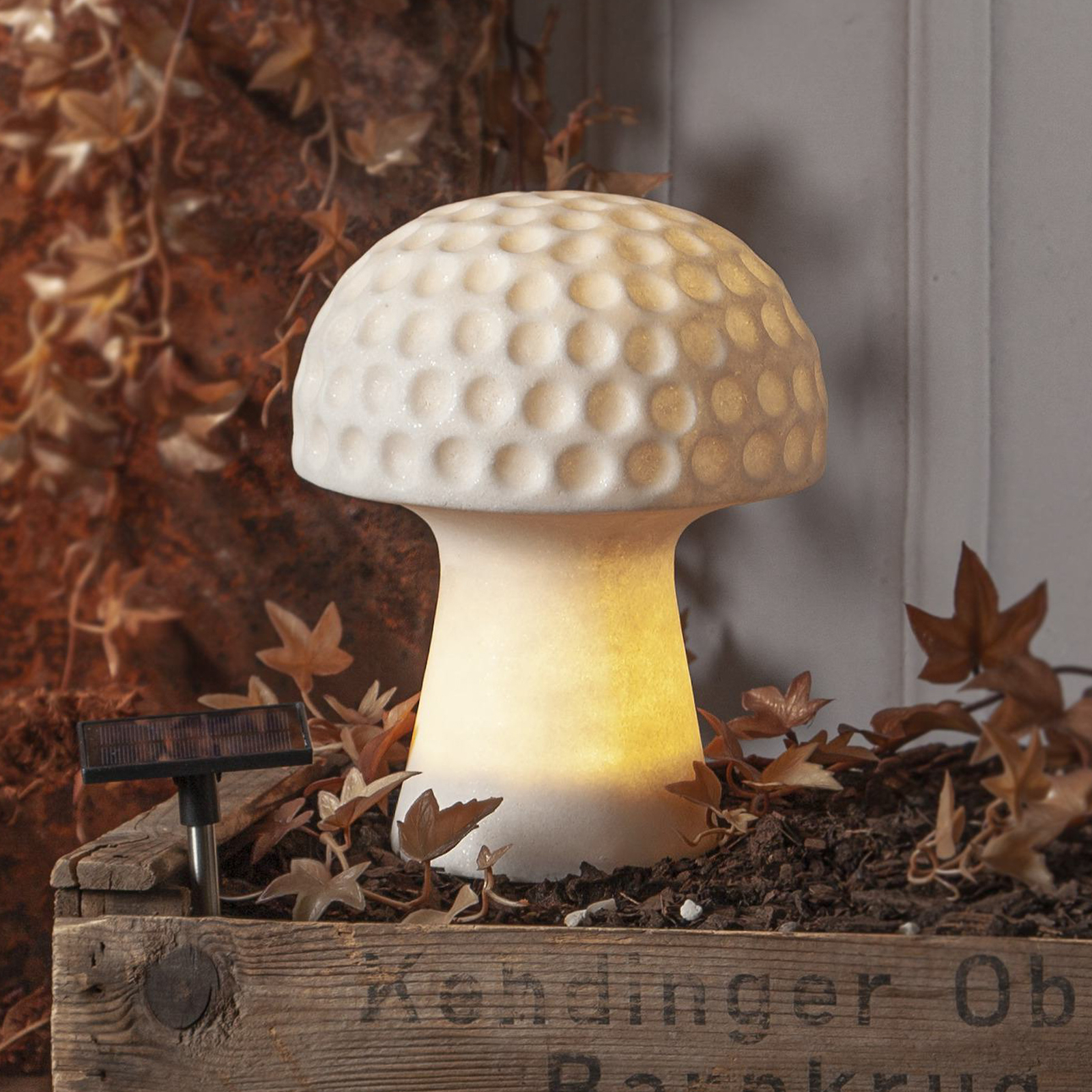 Sandy LED lamp op zonne-energie, 24 cm, wit, kunststof, paddestoelvorm