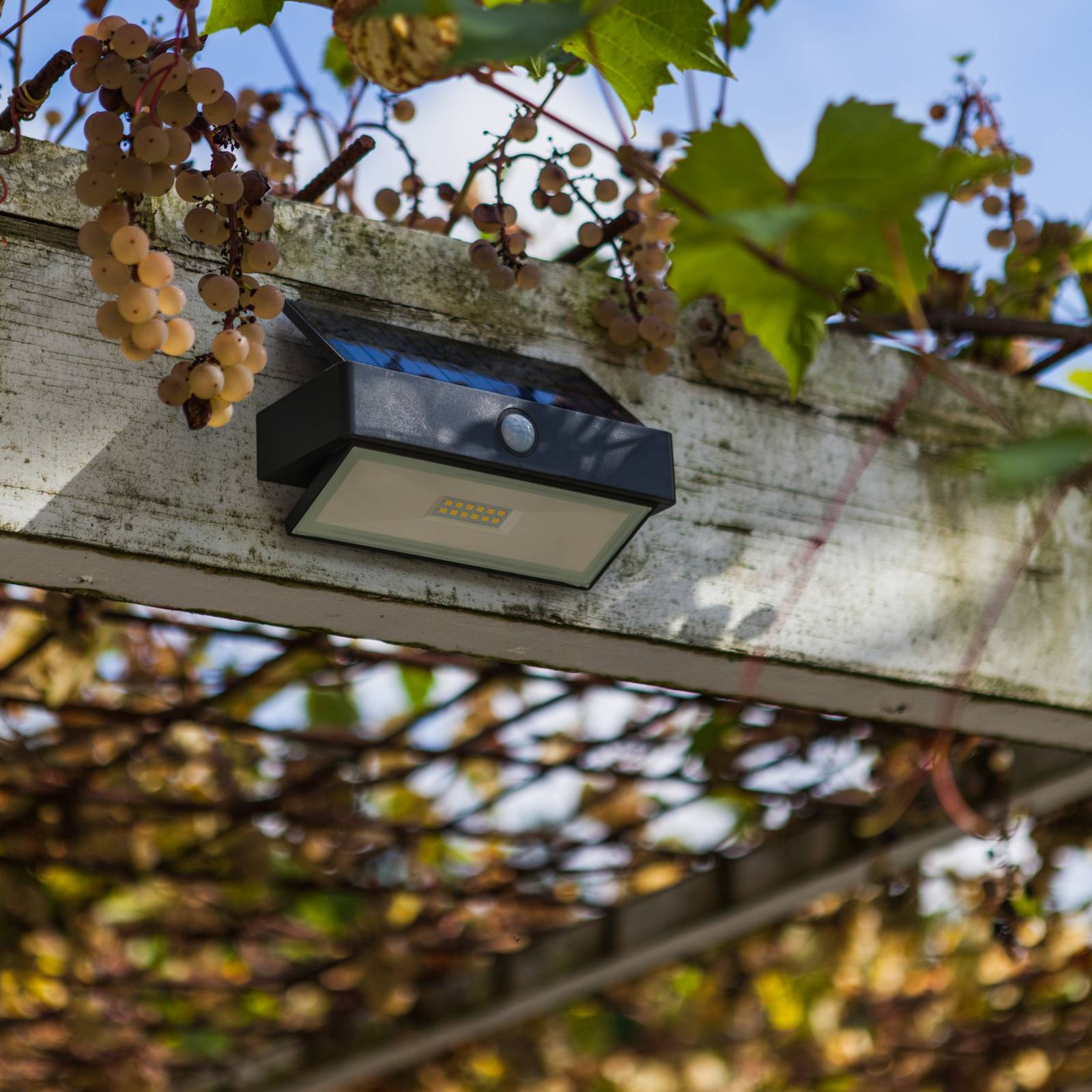  Lutec Lutec Aplique Led Para Exterior Solar Arrow, Gris Oscuro, 18 Cm, Con Sensor, Ip44 