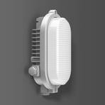 RZB Areno LED vanjska zidna svjetiljka IP66 srebrna/bijela 840