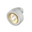white / gold