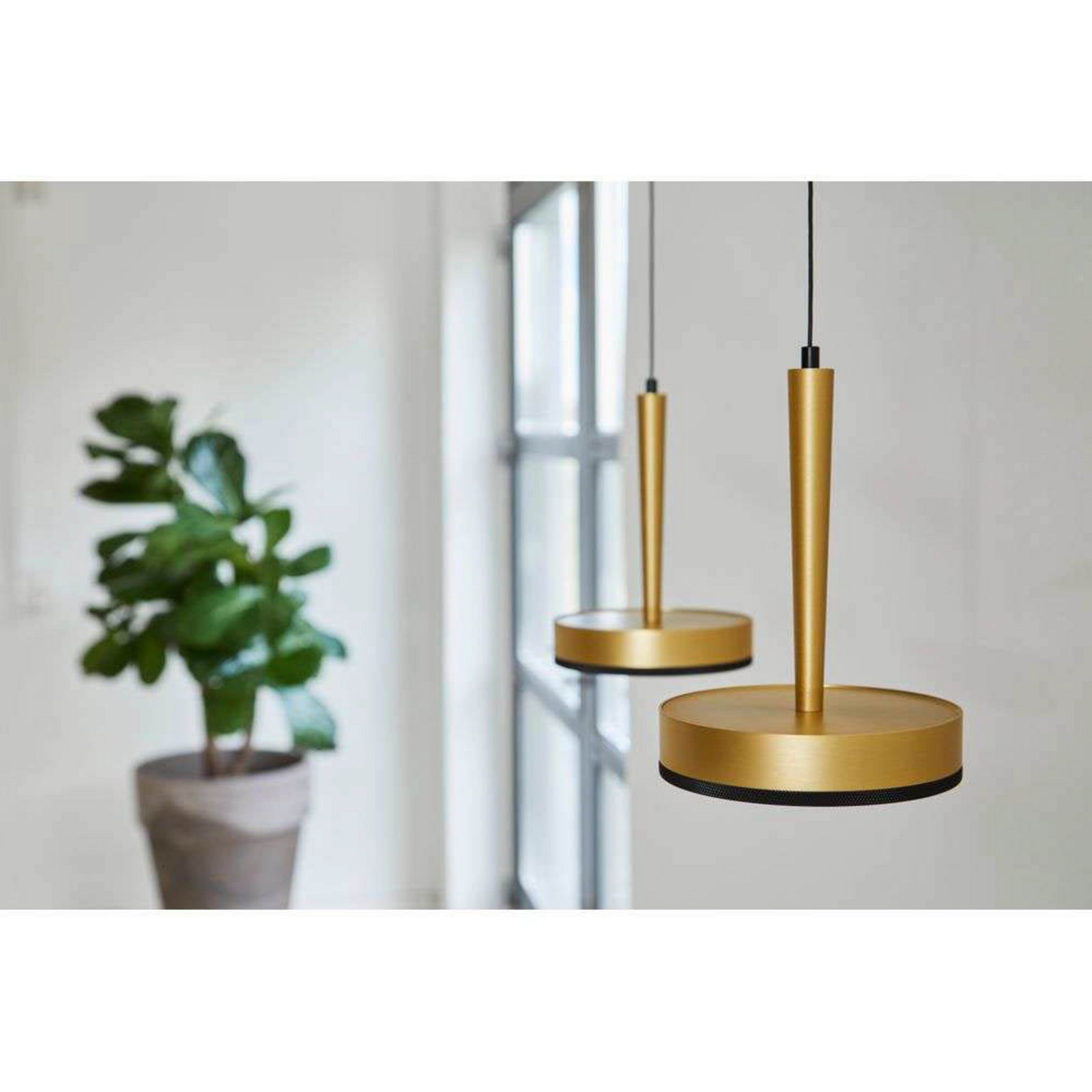 LOOM DESIGN Suspension LED Nyx P1, laiton, aluminium