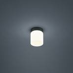Helestra Keto LED ceiling light, cylinder, black