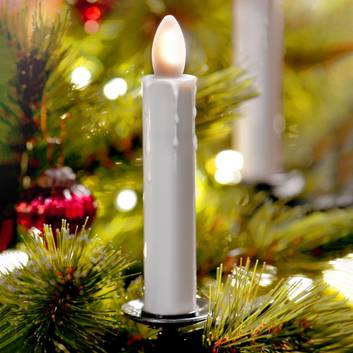 LED-julgransljus Shine, elfenben trådlöst, 10-pack
