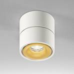 Egger Clippo LED plafondspot, wit-goud, 3.000K
