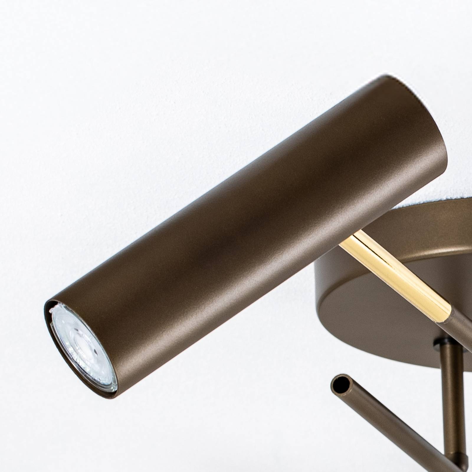 Lampa sufitowa Axion, 4-punktowa, kolor tytanowy, stalowy