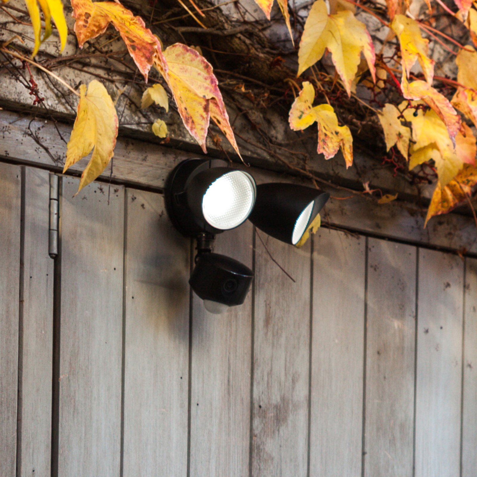 Draco LED outdoor wall light camera sensor