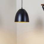 Lampa wisząca Lenox, 1-punktowa, czarna/złota