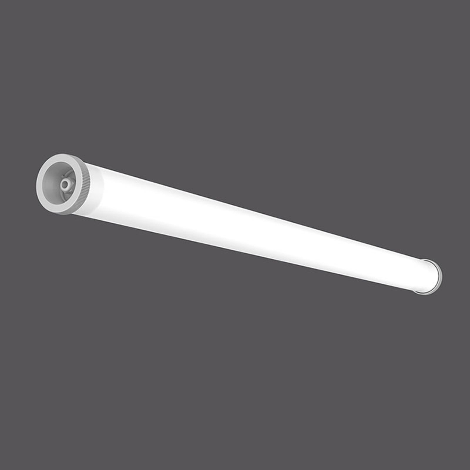 RZB Planox Tube Farm LED moisture-proof light
