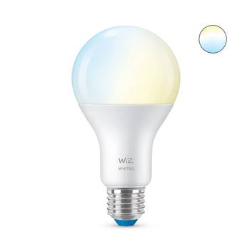 WiZ A67 LED-lamppu Wi-Fi E27 13W matta