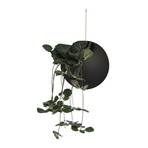 AYTM Globe bloempot, hangend, Ø 17 cm, zwart, aluminium