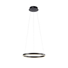 Závesné svietidlo Ritus LED, Ø 39,3 cm, antracit