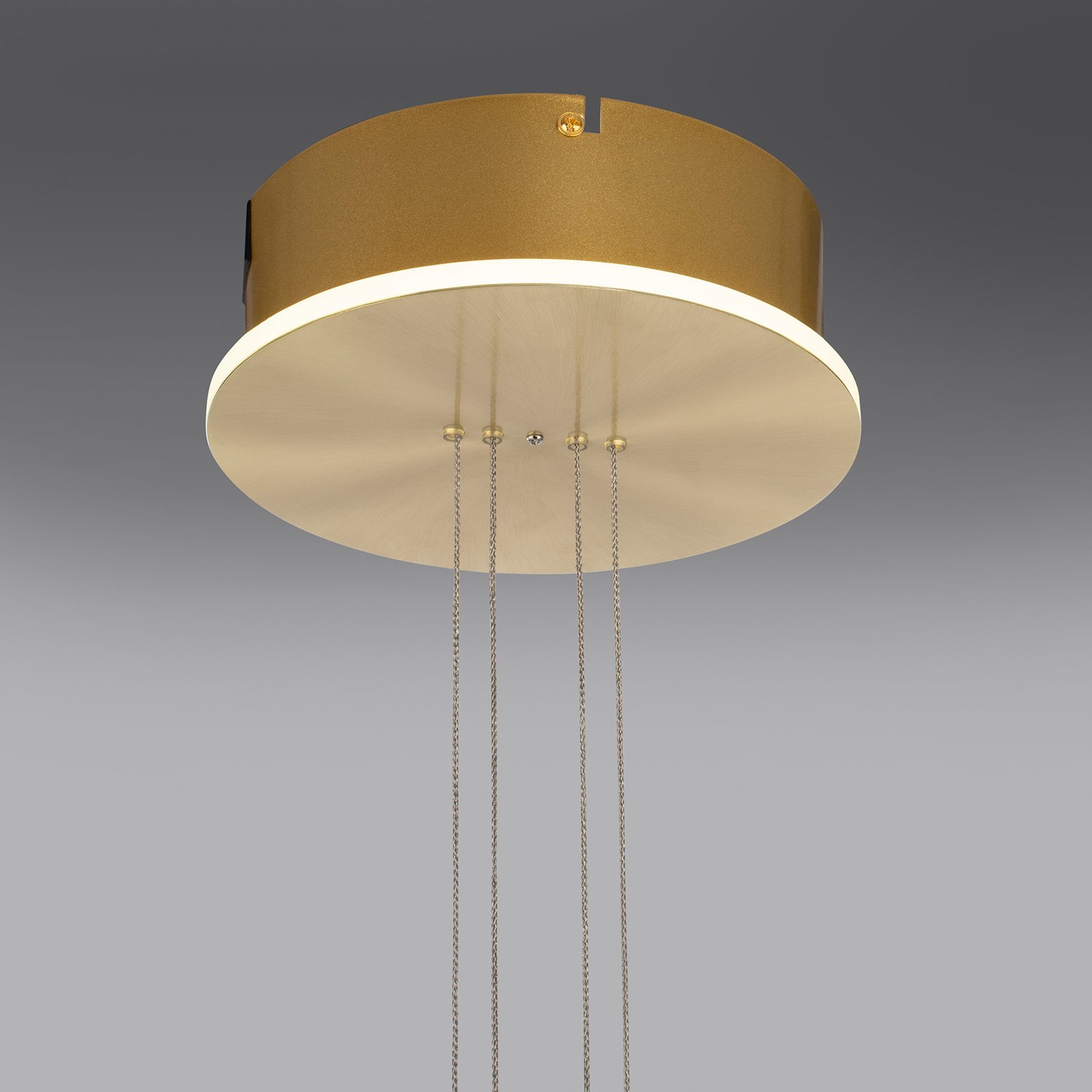 Paul Neuhaus Q-ETIENNE LED sospesa 1 luce, ottone