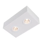 SLC DL04 Surface X2 surface-mounted light 2-bulb