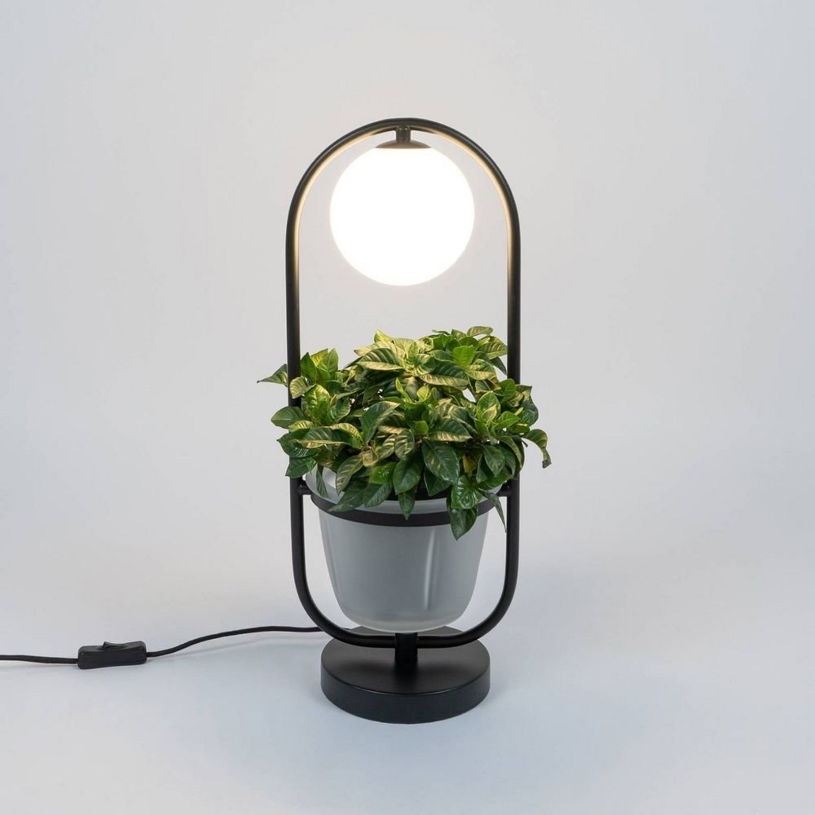 Orna Stolna lampa Crna/Opal - Lindby