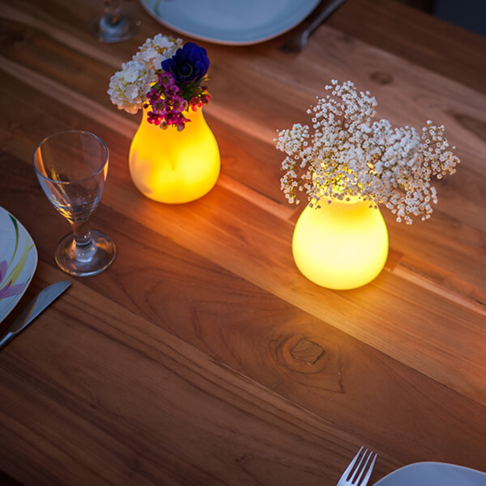 Olio - sorgente luminosa LED e vaso, con comandi
