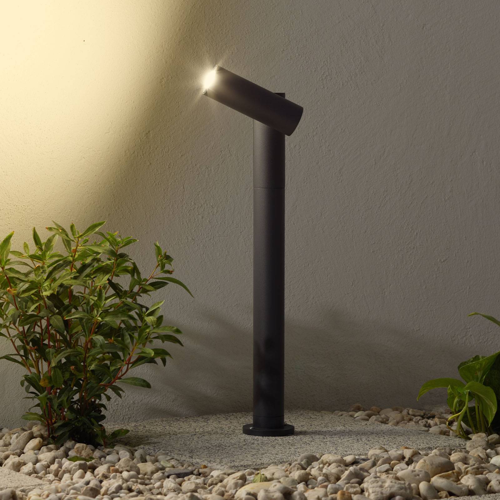 Lampe pour socle LED Narea, réglable, 43 cm
