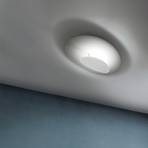 ICONE Masai ceiling 1-bulb 927 70x44cm white/white