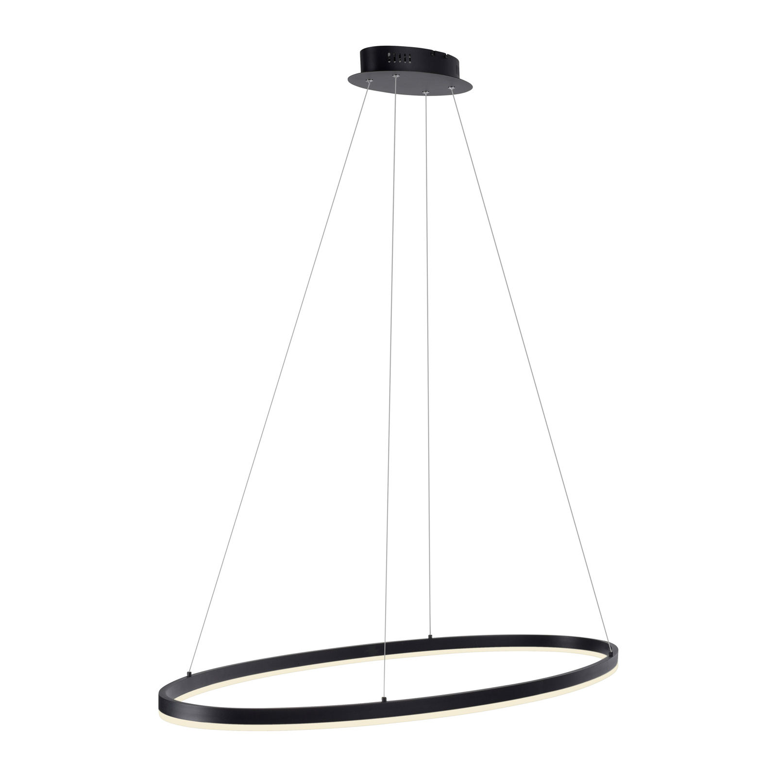 Paul Neuhaus Titus LED pendant light, oval 118x56cm