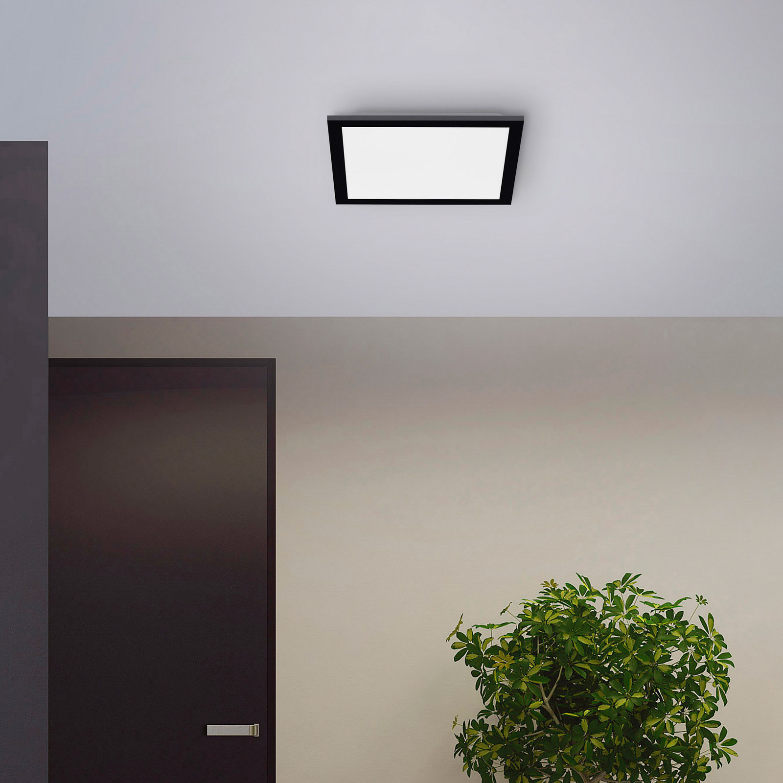 LED-taklampa Flat, CCT, svart, 29 x 29 cm