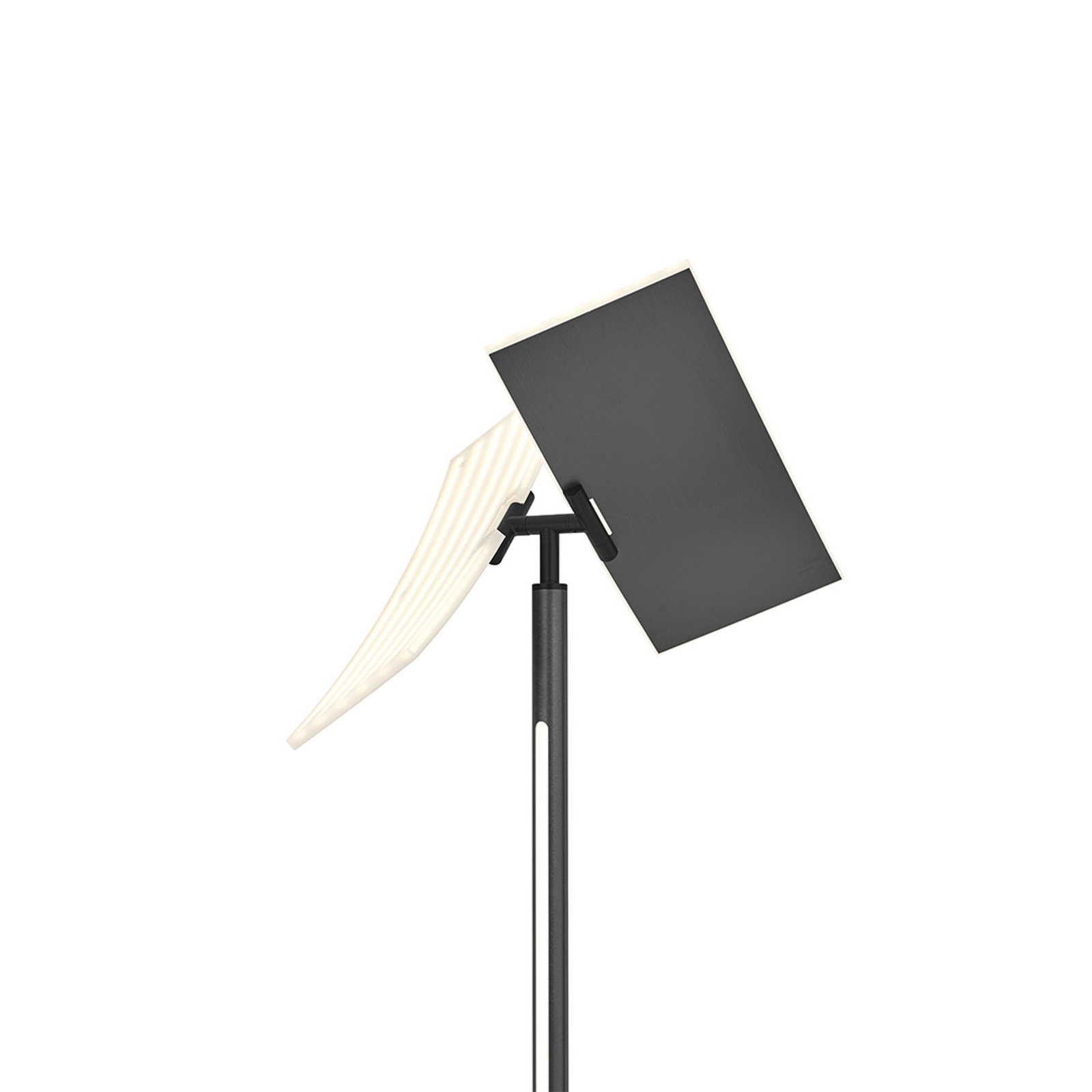 LED vloerlamp Twice, antraciet geanodiseerd, 185 cm, metaal, CCT