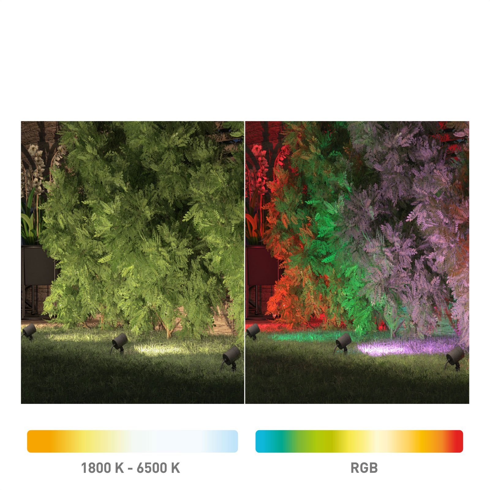 Müller Licht tint Flores -LED-kohdevalo ulos 3 kpl