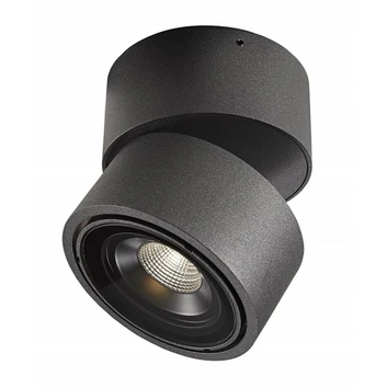 Easy W100 LED Draußen Aufgesetzter Spot 3000K Black - Antidark