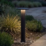Arcchio LED tuinpadverlichting Tovio, hoogte 65 cm, antraciet