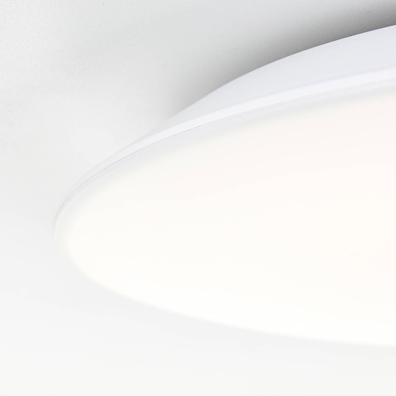 Levně Koupelnové stropní svítidlo LED Colden, bílé, zapnuto/vypnuto, Ø 29 cm