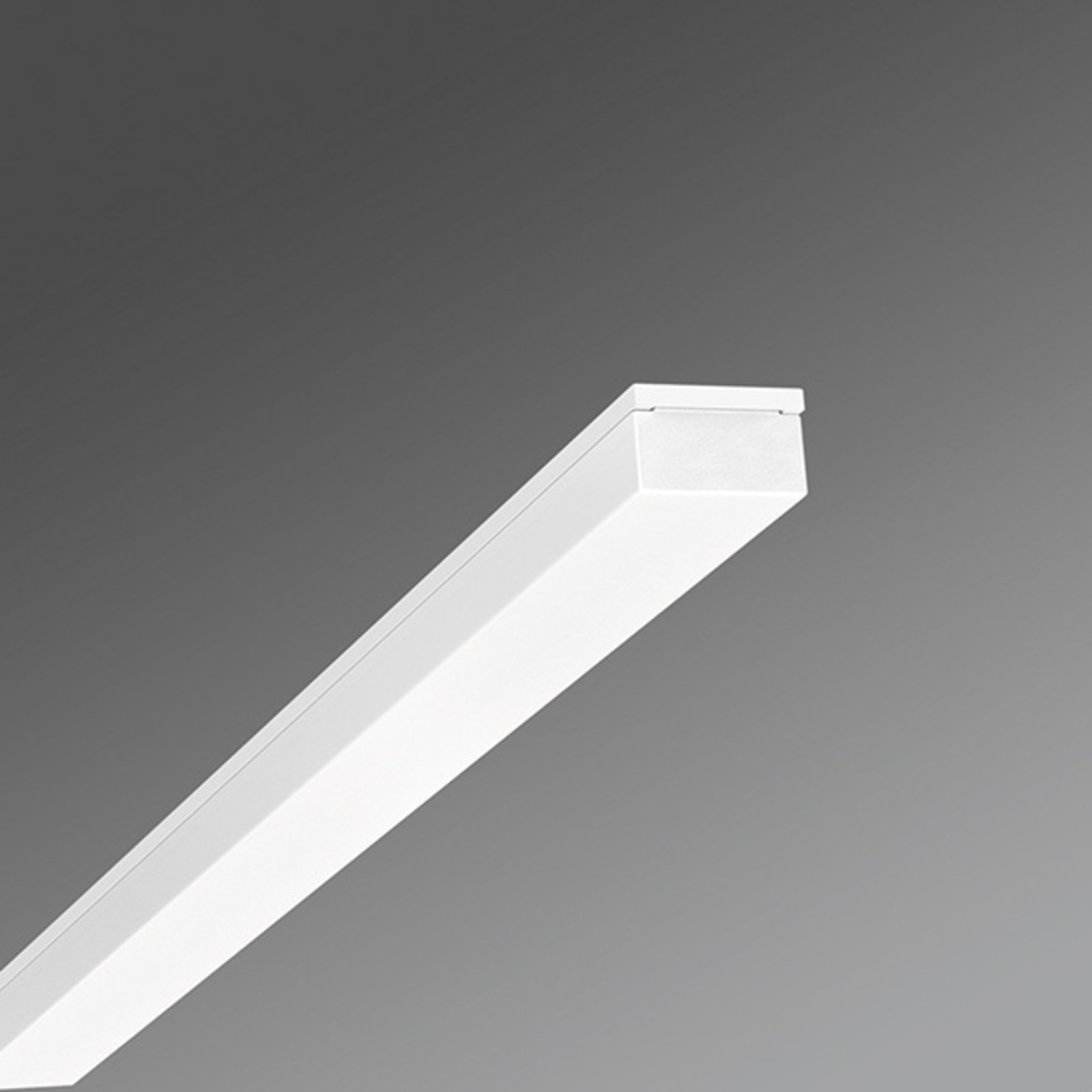 Regiolux Wotek-WKO/1200 LED ceiling lamp, warm white, for Hallway, steel, plastic, 28 W, energy efficiency: A+, L: 121 cm, W: 12 cm, H: 9 cm