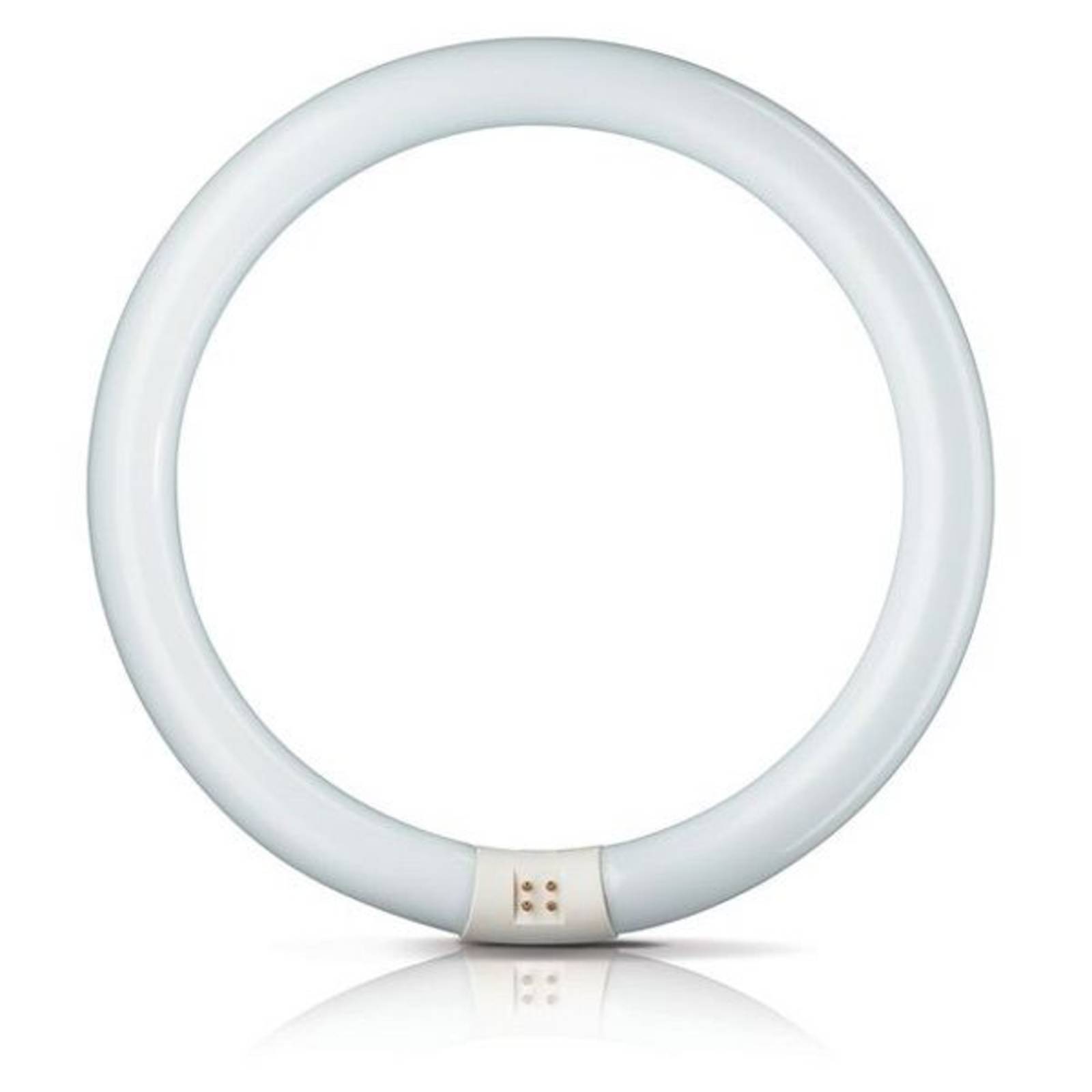 Image of Philips Tube fluo rond G10q 22W 840 Master Circular TL-E 8727900840506