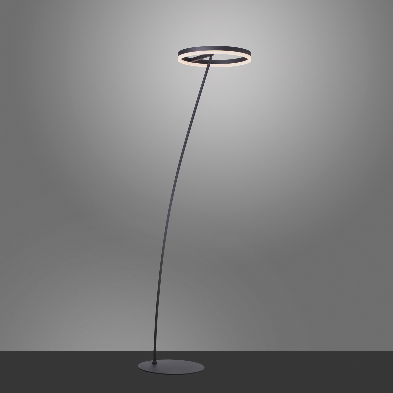 Paul Neuhaus Titus LED-gulvlampe antrasitt dimmer
