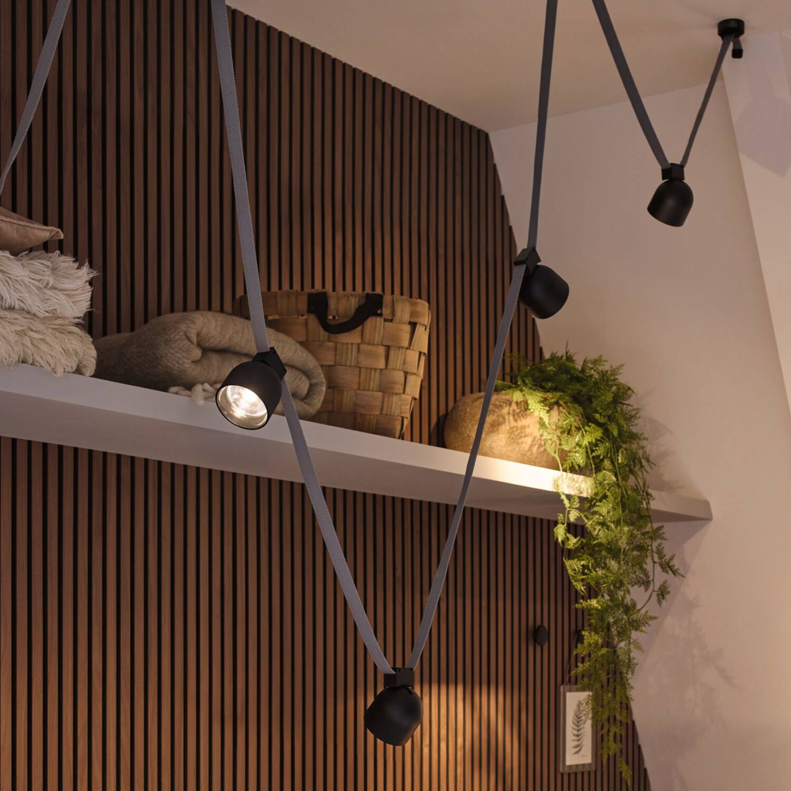 Paulmann ULine Spot LED Ronde, czarny, 3000 K