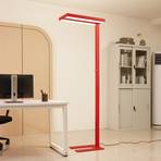 "Arcchio" LED grindų lempa "Logan Basic", raudona, 6 000 lm, reguliuojamas