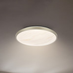 LED-Deckenleuchte Competo, 3.000 K, Ø 33 cm, nickel matt