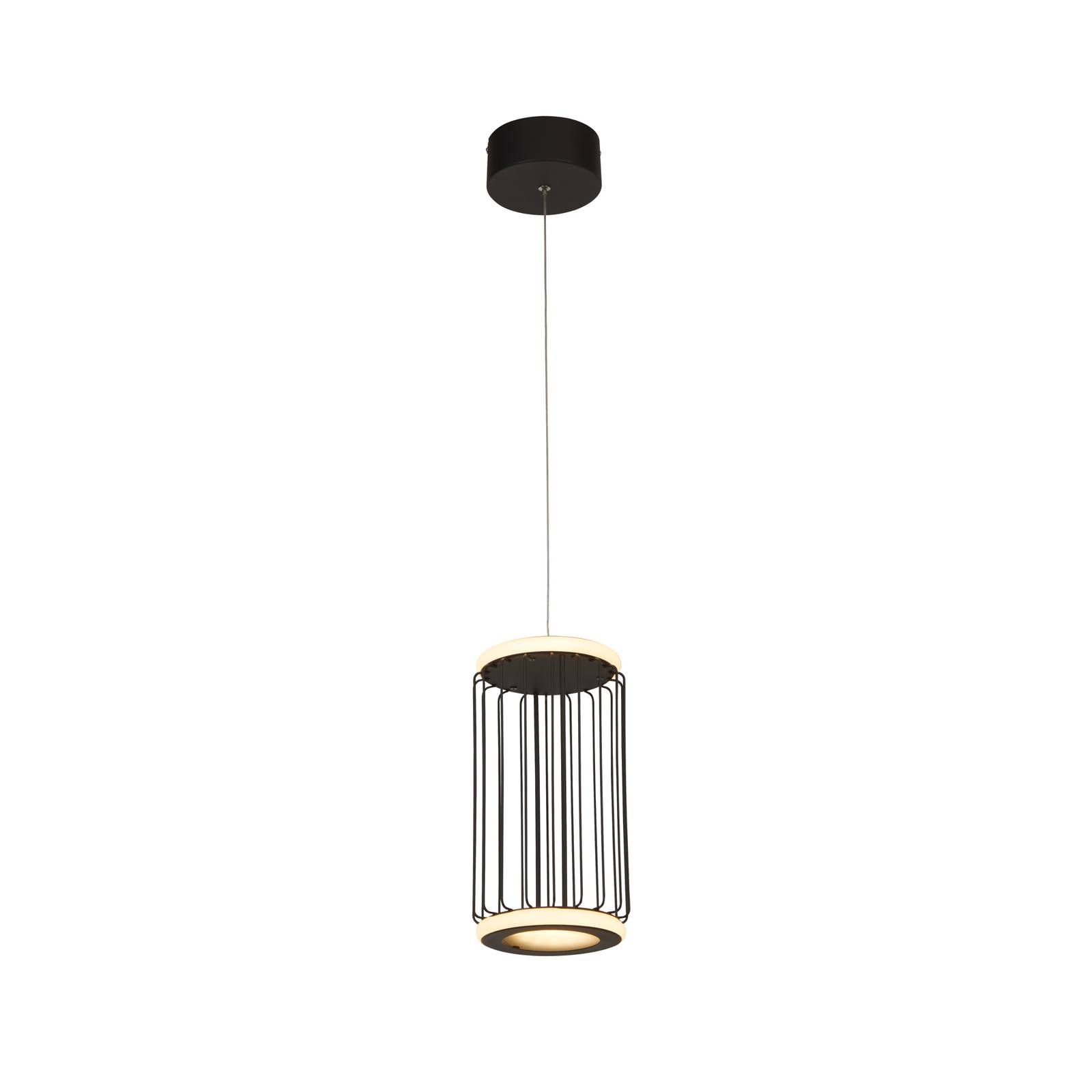 Lampa wisząca LED Cage, 1-punktowa, czarna