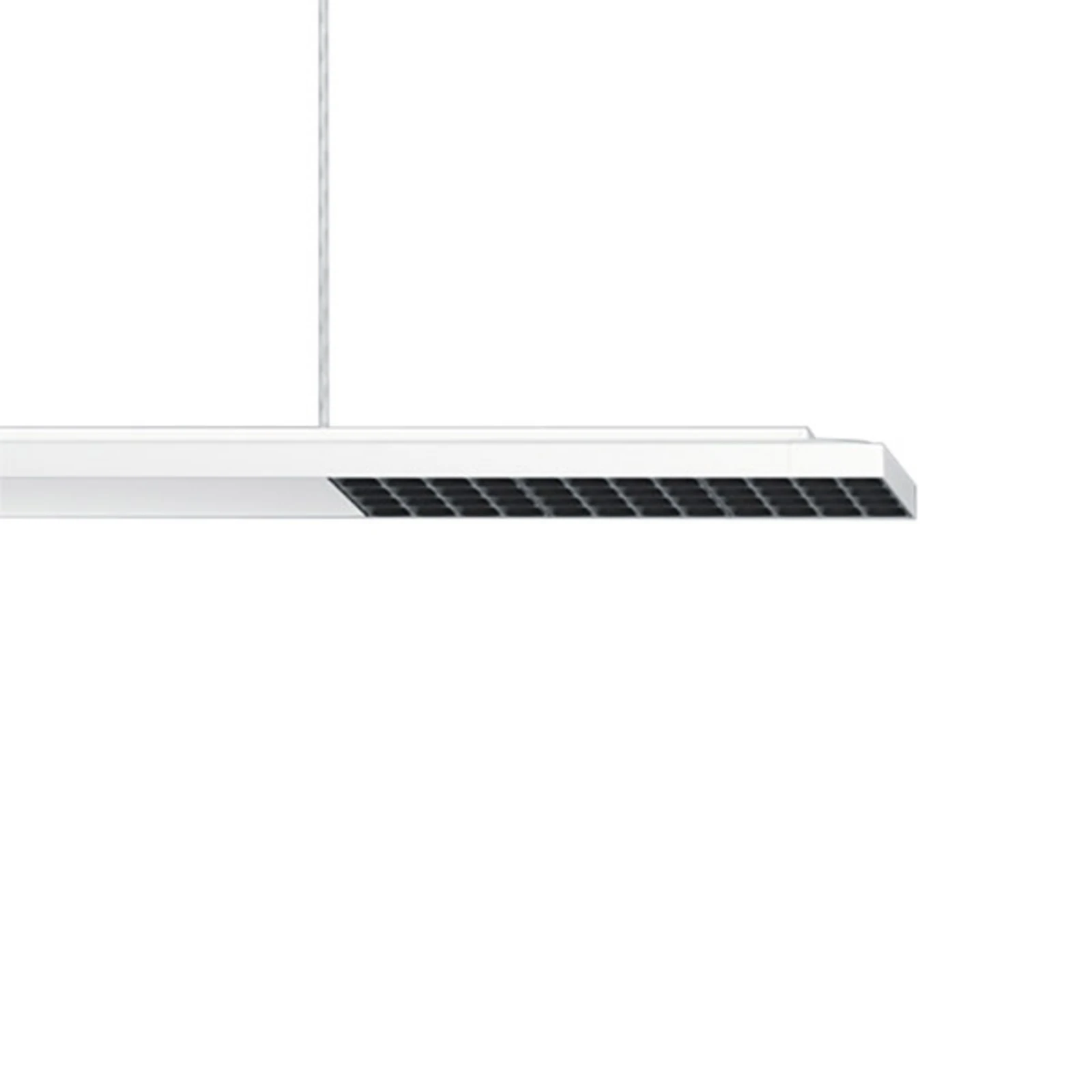 ERCO Jilly P DALI up/down oval wide weiß/black 840