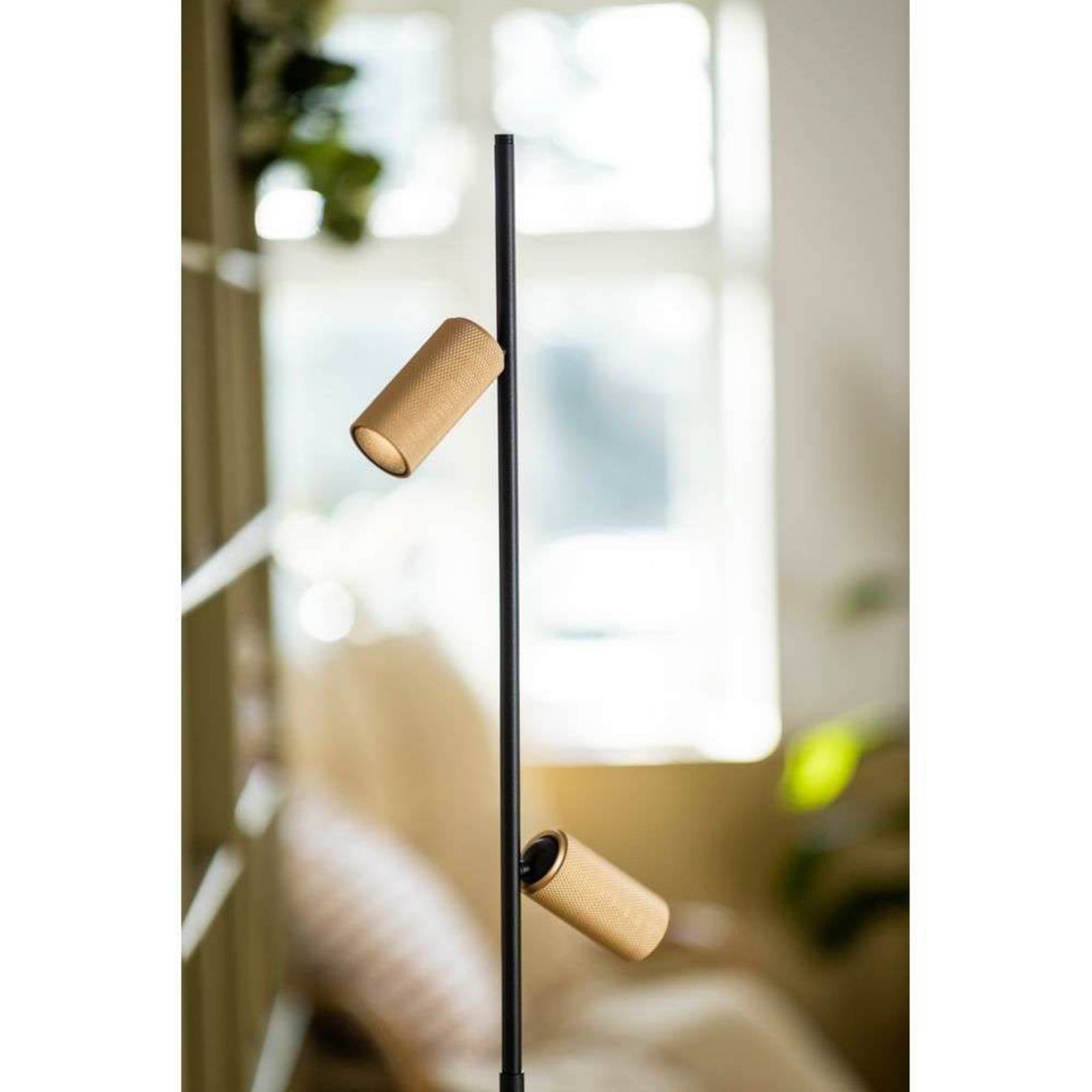 Decor F2 LED-gulvlampe, sort/messing, dæmpbar ANTIDARK - Stue billede
