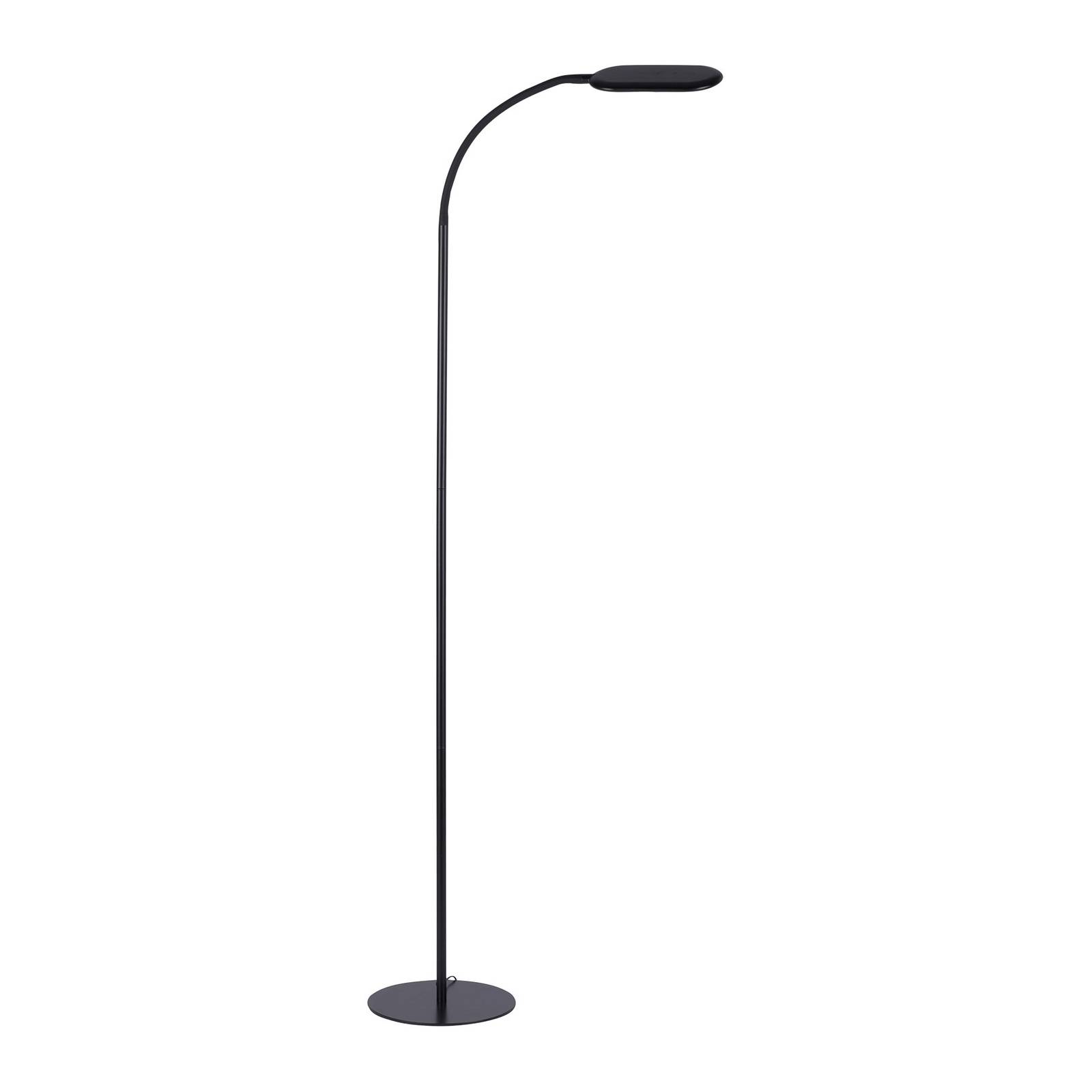 LED-Stehleuchte Kelly, CCT dimmbar