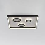 Paul Neuhaus LED-Deckenlampe Dune, Länge 45 cm, schwarz, CCT